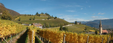 Tramin Panorama